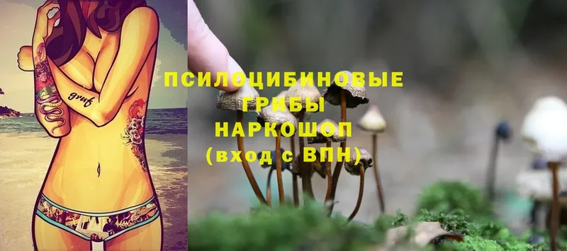 Галлюциногенные грибы MAGIC MUSHROOMS  Дальнереченск 